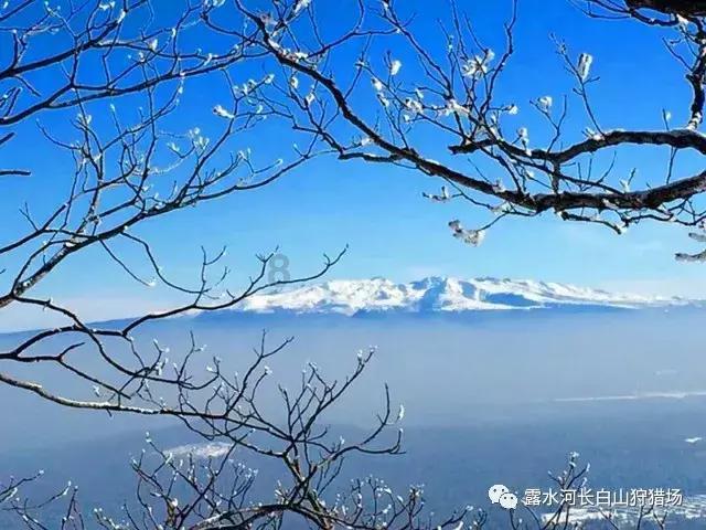 全国农机标委会获评全国“一级”标委会